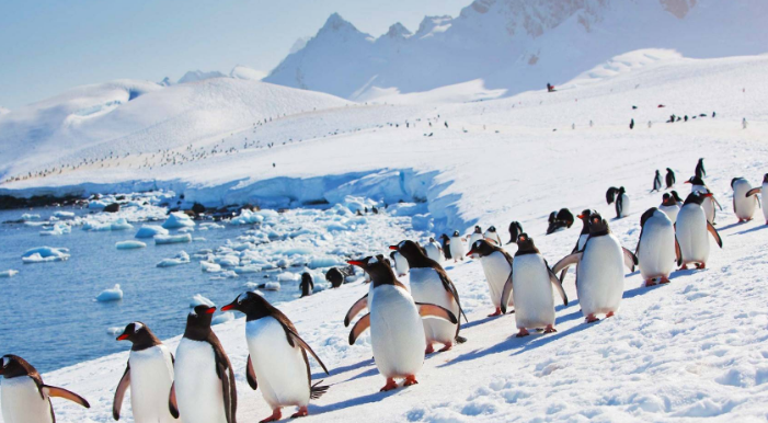 科研机构找到南极的秘密 可能会预言地球的未来（南极预言）