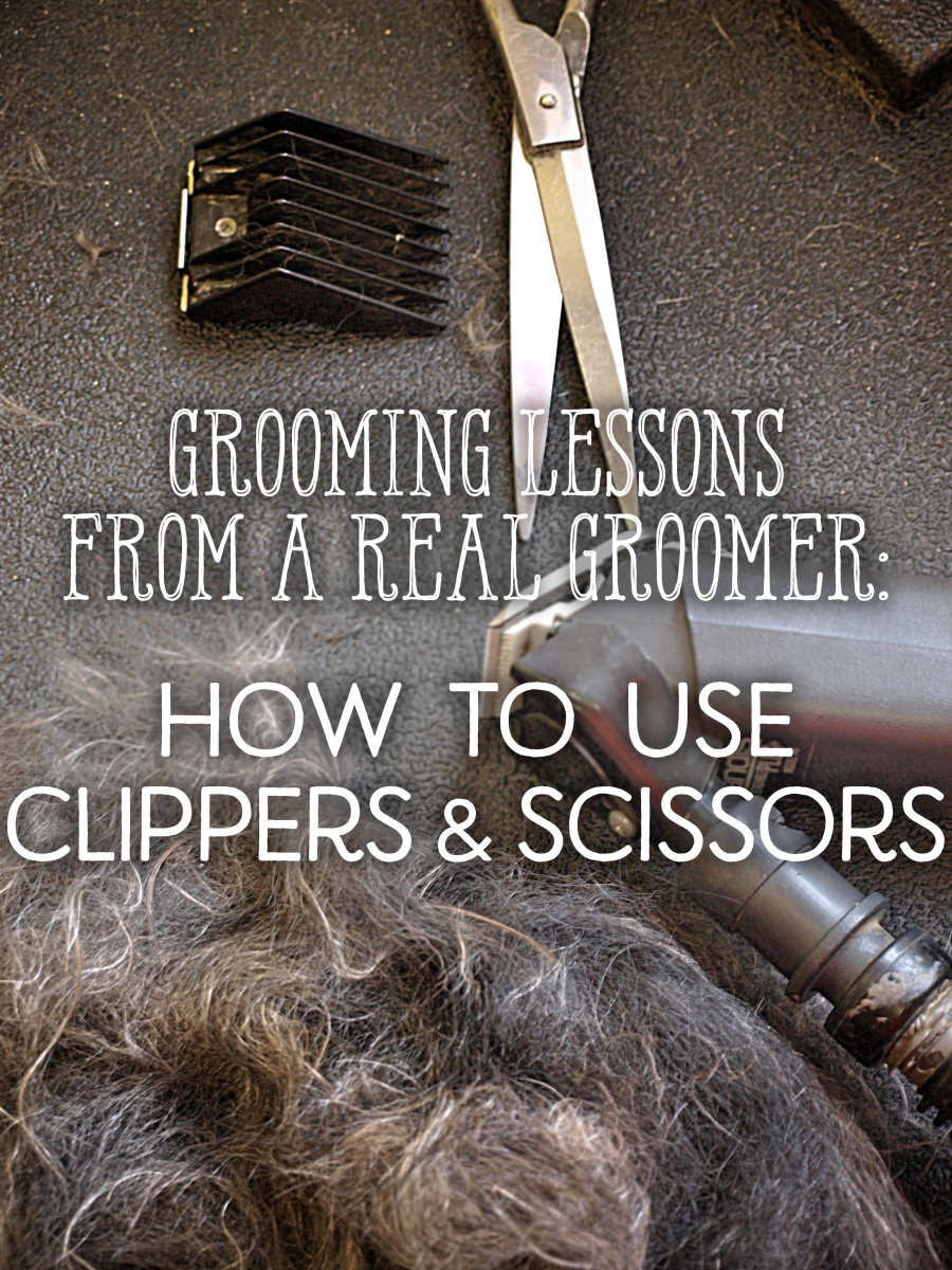 一个美容师的教训，如何使用剪刀和剪子