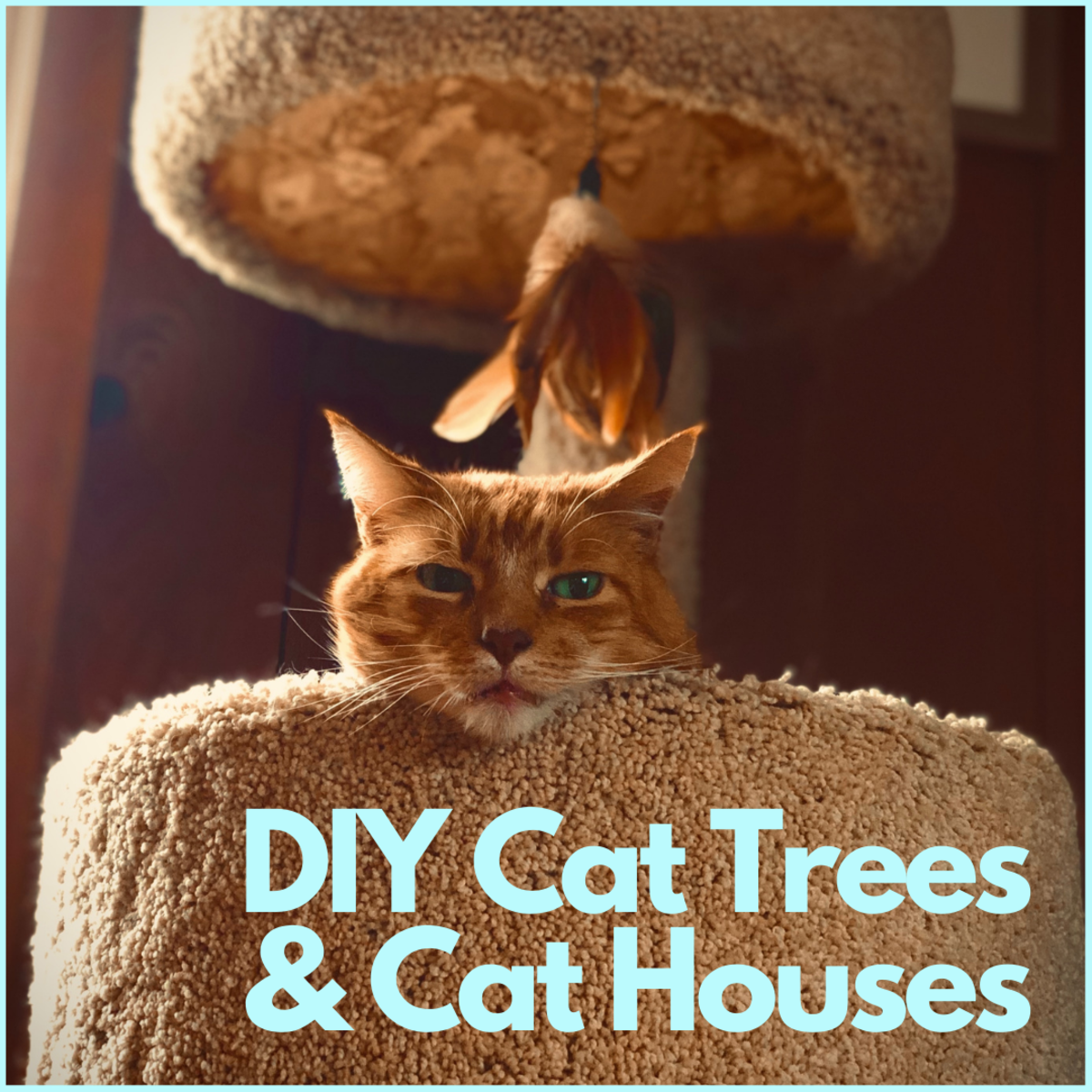 如何自制猫咪树和猫窝
