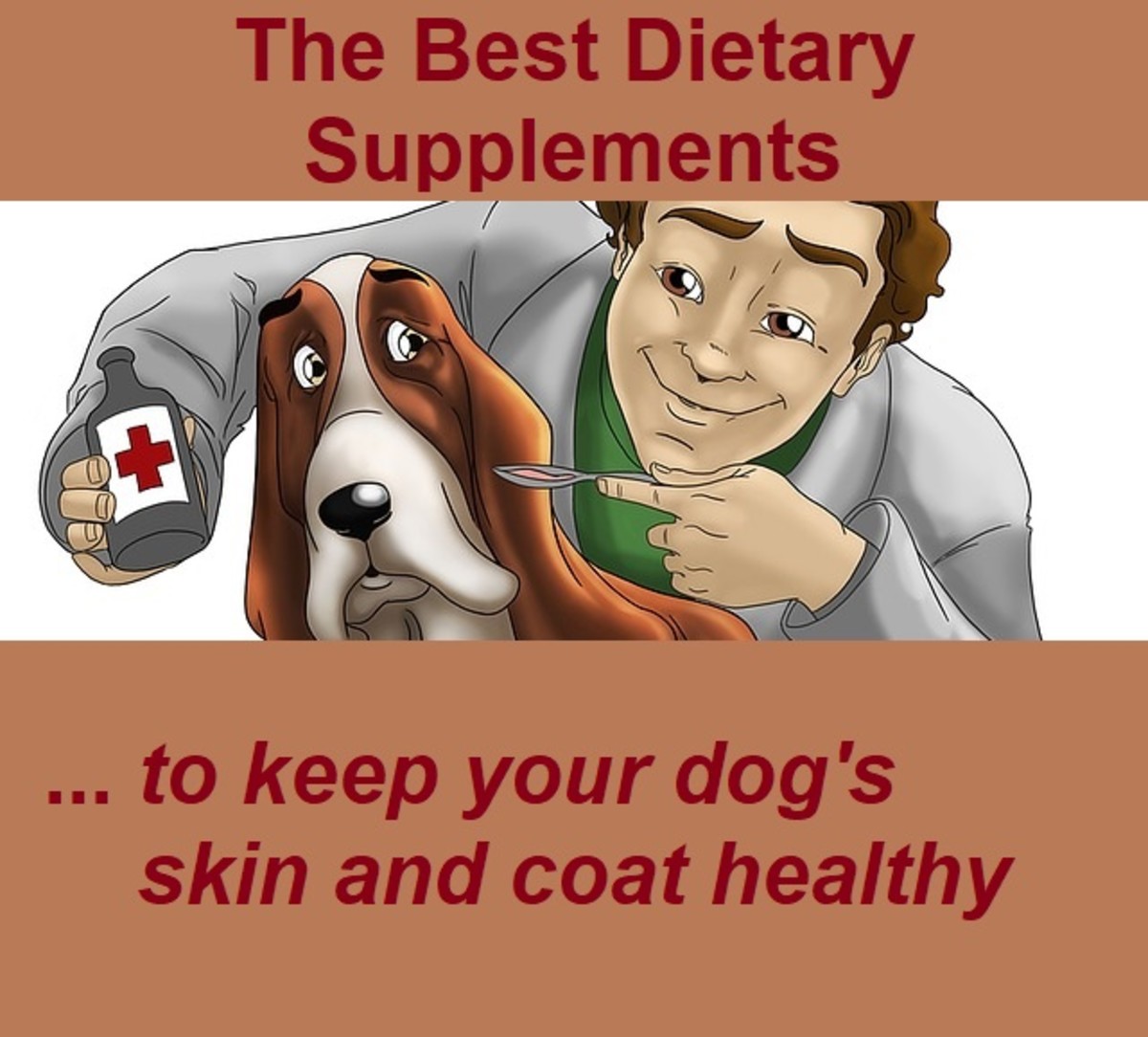 保持狗狗皮肤和毛发健康的最佳膳食补充剂
